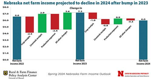 A projected decline in farm income in Nebraska this year is attributed to a downturn in crop receipts in the state—due to lower crop prices in 2023—that look to fall further in 2024. 
