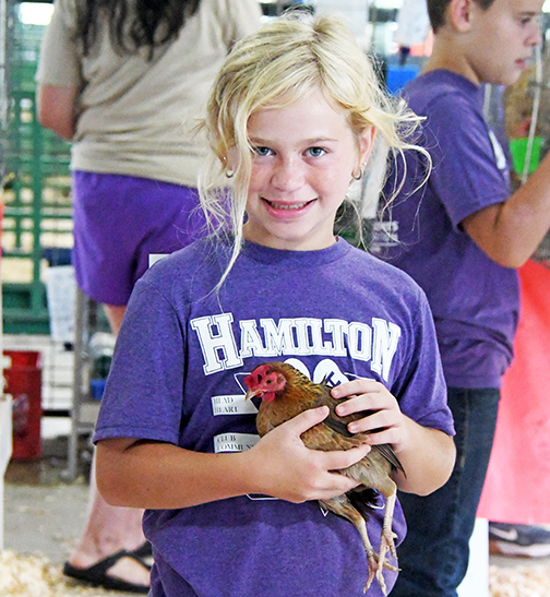Louisa Friesen showed "Chicken Little" in the 4-H Poultry Show at the fair on Thursday