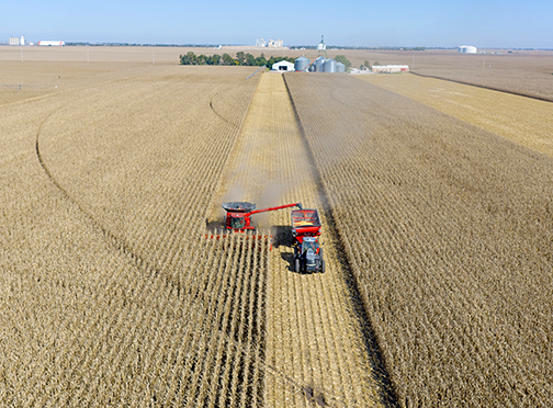 Mitch Oswald, with the help of his dad, Mike driving the combine, begins harvesting a cornfield west of Aurora on Friday. 