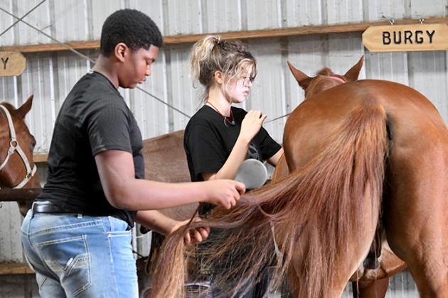 Tristian Woodard and Alli Hester work with horses before going for a ride Friday morning at Timberlake Ranch Camp.