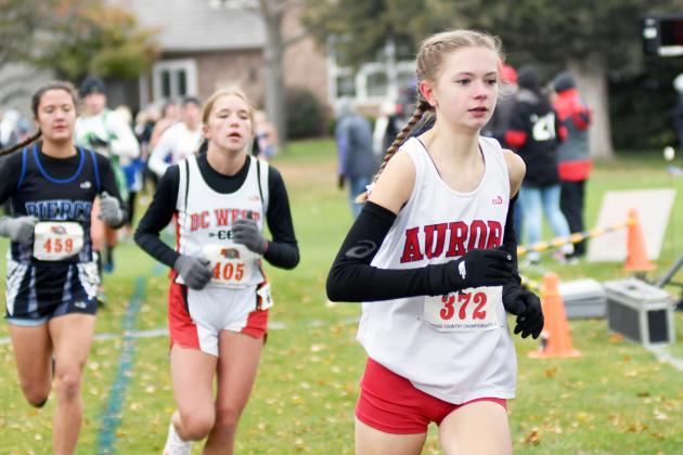 Elena Kuehner rallied from a stumble at the beginning of the Class C state cross country meet to lead Aurora with a 25th place effort.