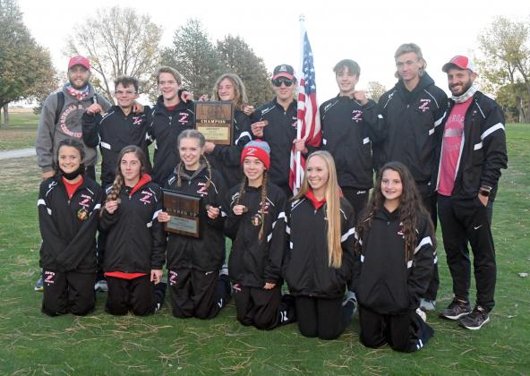 Aurora's boys and girls cross country teams both qualified for next week's state meet in Kearney. 