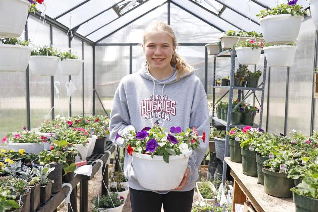Rowe Morgan Bonifas stands amongst her passion, and FFA, projects. She has added a number of bedding flowers to her Morgan’s Mums business -- now dubbed Morgan’s Mums and More.