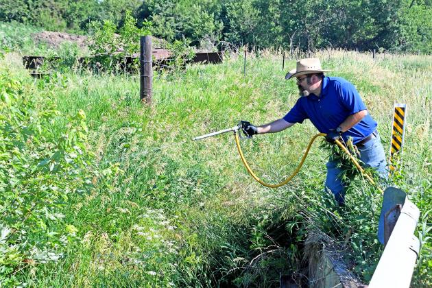 Jeremy Brandt, noxious weed superintendent for Hamilton County, sprays a patch of poison hemlock in the countryside.