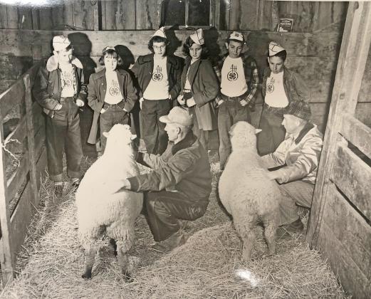 Photo courtesy of the Plainsman Museum // These 4-Hers seem to be getting a lesson on sheep during an early Hamilton County Fair.