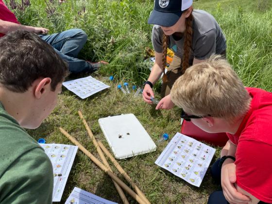 Atticus Miller, left, and Willa Sharp, right, observe bumble bees and practice identifying different species that they found at Gjerloff Prairie. Katie Lamke (center), Conservation biologist with the Xerces Society, presented to students about the Nebraska Bumble Bee Atlas and helped them net bumble bees so they could be studied up close and identified as a part of a survey out on the prairie. 