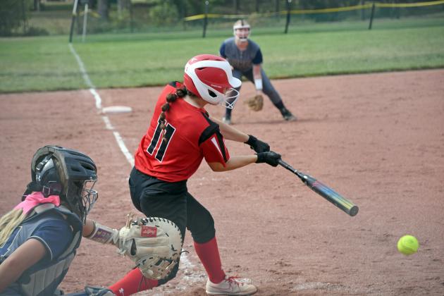 Taylor Janda had two RBIs in Aurora's 11-2 win over Columbus Lakeview during the Central Conference tournament. 