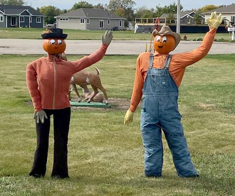 Jerry and Mary Ann Hinrichs have some guests in their yard that have been catching the eye of those passing through Giltner for a while now.