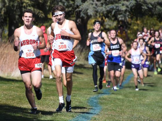 Senior Isaac Bisbee, left, and sophomore Lucas Gautier run side by side mid-way through the Class C state cross country race Friday in Kearney.