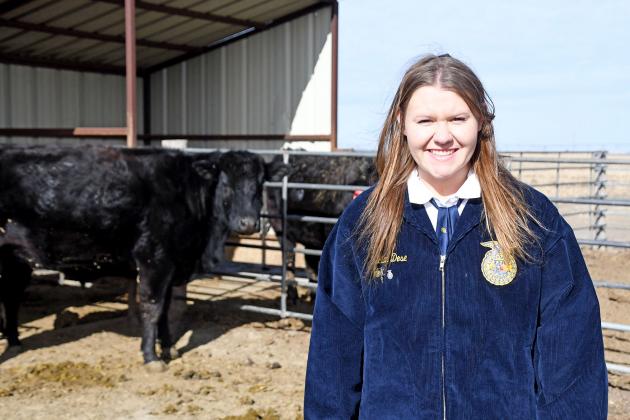Hampton FFA Chapter President Lillian Dose grew up around cattle helping out with vaccinations during the summer months with her family’s Dose Land & Cattle operation, thus she felt comfortable around the expanding Hawk Herd.