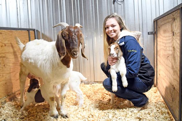 High Plains FFA President Emma Snoberger grew up around farm animals and has turned that passion into her own brand of cattle at home. Snoberger is pictured here with HPC’s smiling goats as part of the school’s FFA chapter. 
