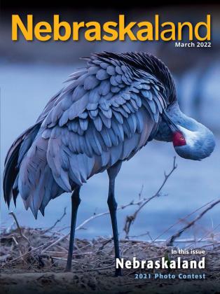 Pictured above is the March 2022 cover of Nebraskaland Magazine, featuring Britton Bailey’s best of show photograph, “Sandhill Crane Preening on Platte River Bank.”
