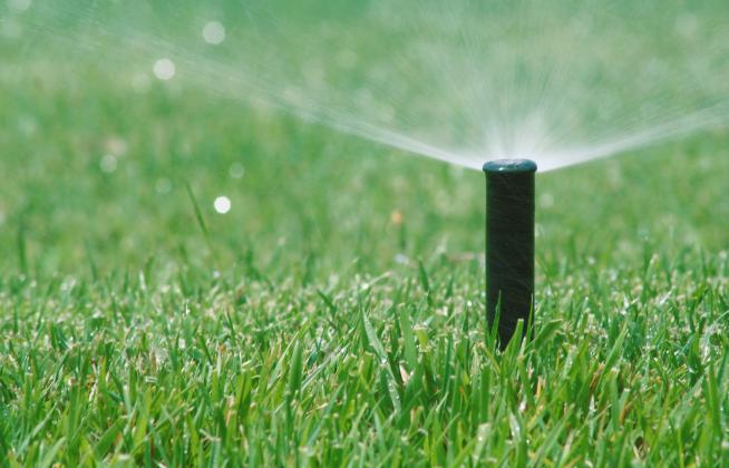 Watering the lawn may be limited this summer if village leaders implement restrictions.