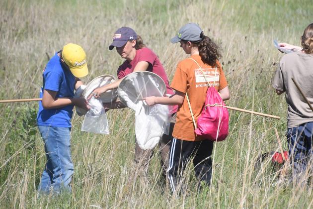 Prairie Plains Resource Institute’s Sarah Bailey, center, helps Youth Naturalist campers gather insects last week on the Gjerloff Prairie west of Marquette.