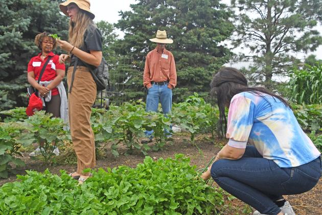Members of the Three Sisters Garden are encouraged to pick from the variety of plants and herbs in the garden for a taste during Saturday’s annual Grain Place Foods field day tour.