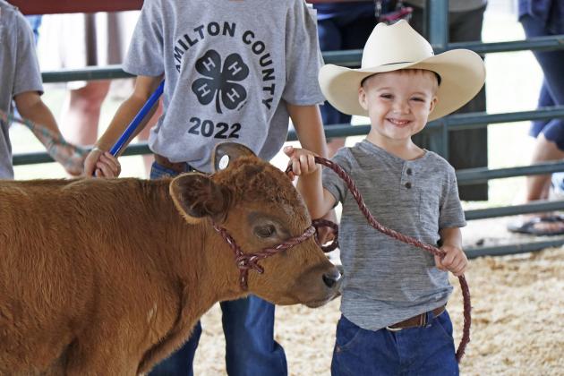 Quick to give ‘em a smile, little cowboy Carter Nisley made a charming peewee beef showman during Friday morning’s show at the 2022 Hamilton County Fair.