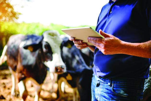 As drought conditions continue to plague the Midwest, livestock producers across many states are looking for ways to reduce stress on their animals, and their operations. 