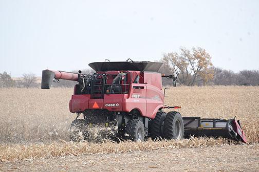 Field work is wrapping up in Hamilton County and farmers are getting in the last bits of harvest, as shown here in a field near Highway 14. With the dry conditions effecting the soil, some farmers report a slow-down in field work after harvest. 