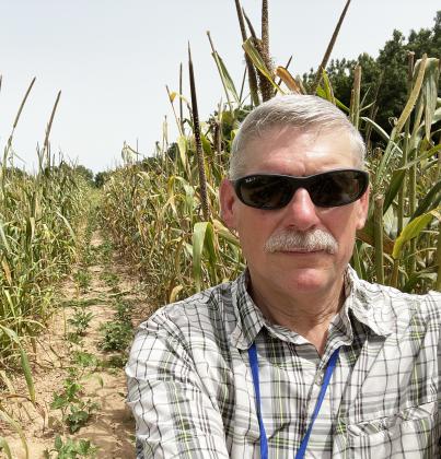 A champion for regenerative agriculture, Dr. David Meyer is seen here in a field of millet, intercropped with mung beans. 