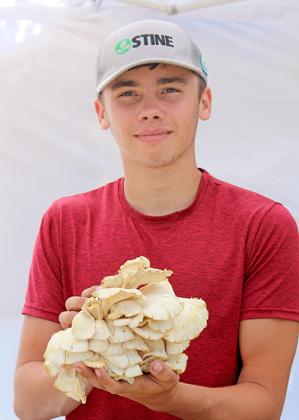 FFA member Jameson Doyle holds up one of oyster mushroom he grew in the family garage and was offering for sale Saturday at the Farmers Market in Aurora. 