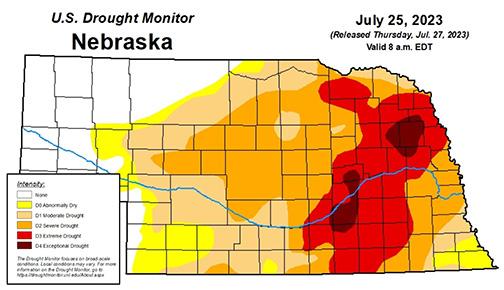 The latest Nebraska Drought Monitor map shows the Panhandle completely out of drought but Hamilton County in one of two areas of the state in the D4 category. 