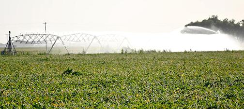 A center pivot irrigation system sprays water on a late-season soybean crop. Farmers are urged to optimize their last few irrigations of the season in order to allow the soil to soak up more water in the non-growing seasons. 