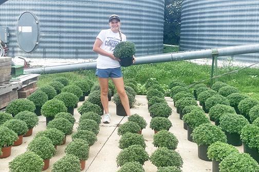 Morgan Bonifas grows her potted mums during the summer months on a concrete pad on the family farm north of Aurora. Since starting Morgan’s Mums four years ago she had tripled her production of the colorful crop. 