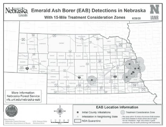 Emerald Ash Borer troubles spread in Nebraska