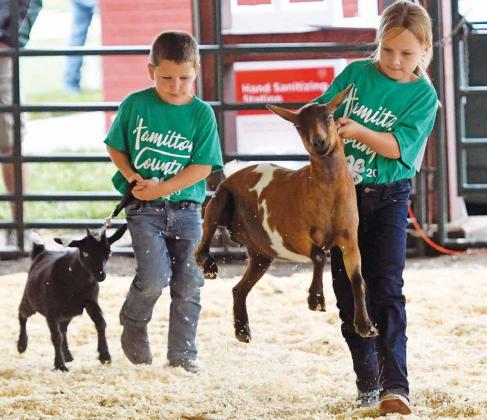 Kathryn Jennings looks to keep control of her goat who has his own way of doing things while Dalton Land follows behind during 4-H Clover Kid showing at the Hamilton County Fair. News-Register/Richard Rhoden
