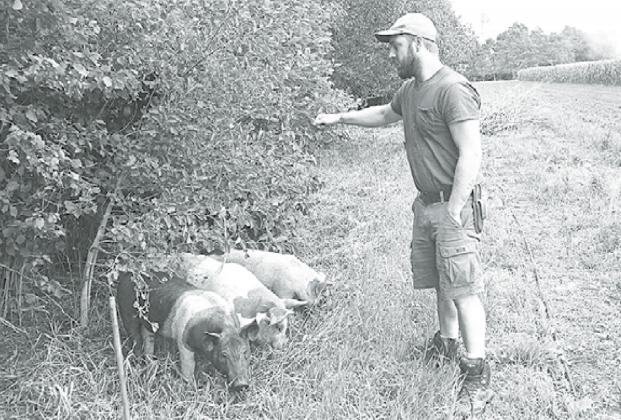 Travis Stumpf, livestock and agriforestry specialist at the Grain Place showcases some of the practives they are implementing to sustainable raise hogs. News-Register/Jeni Moellenberndt
