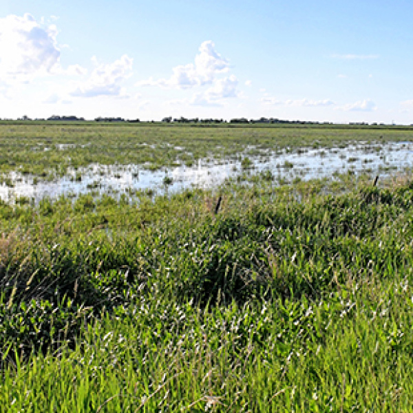 This wetland along J Road and just south of Highway 34 near the Giltner Spur has been filled up by recent rains to the point that, by one estimate, more than 100 acres is now underwater. 