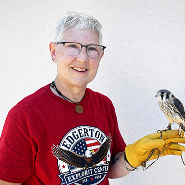 Jet the American kestrel is the latest addition to the raptor program at Edgerton Explorit Center