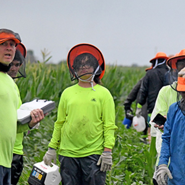 Outfields Detasseling has reached its 25th year of service detasseling fields in northern Hamilton and Merrick counties, with apprixiomately 250 detasselers working for the company. Directing detasslers where to go next is Derek Keasling.