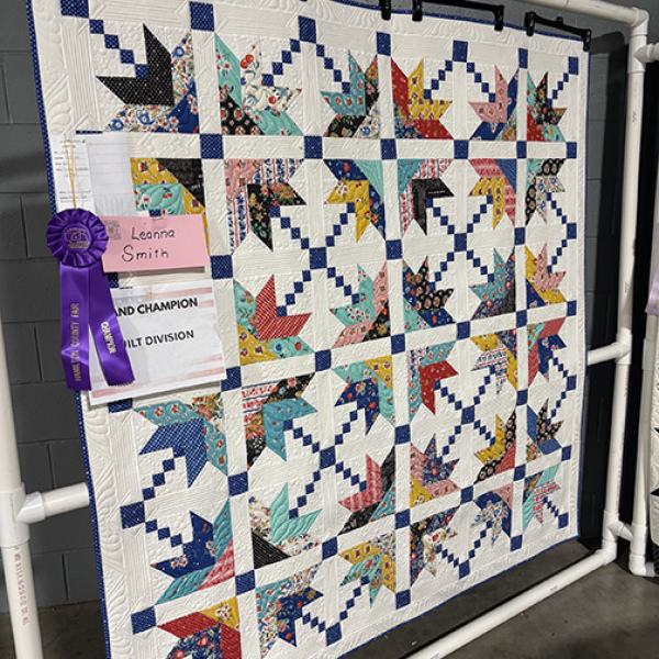 Among the many entries featured in the open class competitions at the Hamilton County Fair was the quilt competition. The judges awarded Leanna Smith grand champion honors for this ribbon friendship star pattern. 