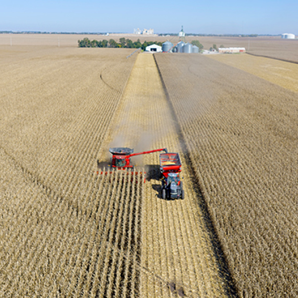 Mike and Mitch Oswald started the corn harvest Friday morning in a field next to Mitch’s home place west of Aurora. They reported the quality of the crop appears to be good despite heavy rains in September that stalled the beginning of the harvest season and left many farmers having to decide whether to start on corn or soybeans.  (Photo courtesy of Laura Oswald)