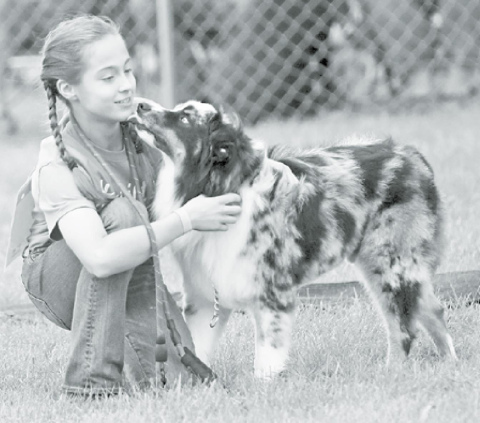 Youth, animals featured at county fair