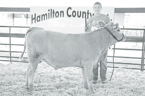 Korbin Stump walked away with a grand champion rosette, with the help of the calf partially taken care of by the Hampton ag program, in the 4-H Feeder Steer category at this year’s Hamilton County Fair. News-Register/Cheyenne Rowe