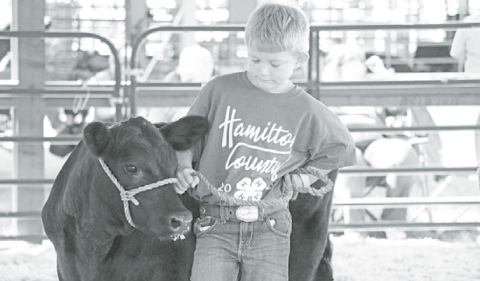 Clover Kids learn the ropes