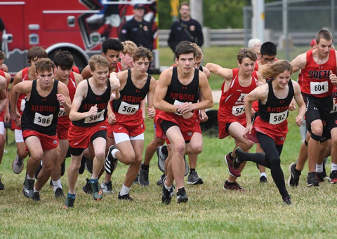 Cross country gold