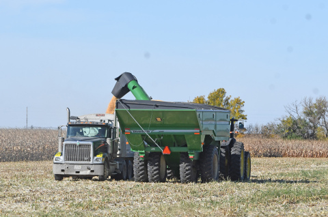Farmers are out in force all around Hamilton County harvesting their crops while the weather remains pleasant. This operation was moving grain south of Aurora.