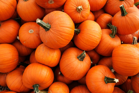 The event is set to take place from 5-7 p.m. on Oct. 29.