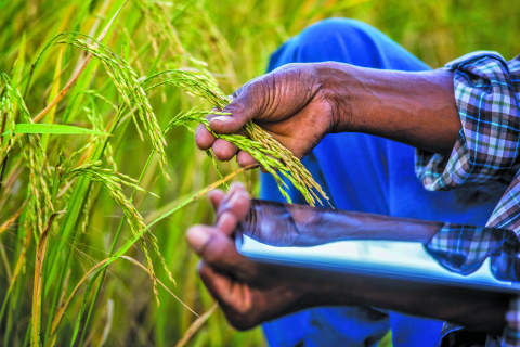 New crops could provide new opportunities for profit.