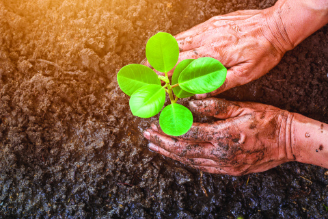 One Husker Harvest Days seminar focused on soil health.