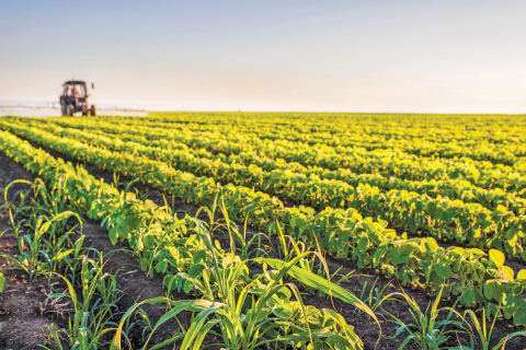 This week's ag story focused on technology choices in crop protection.