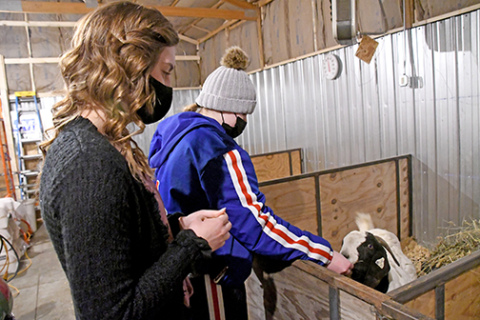 Brooke Bannister (left) and Aubree Quast check in on one of their nanny goats as the estimated delivery date grows closer.
