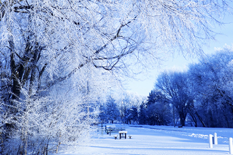 Everything was cold and ice-covered on this day in Streeter Park with temps plummeting to bitter lows.