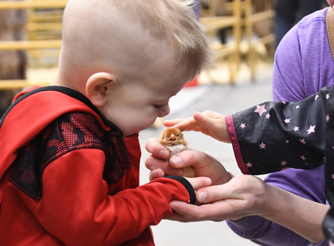 Aurora FFA hosts petting zoo