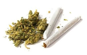 Locals share their thoughts on the marijuana debate.