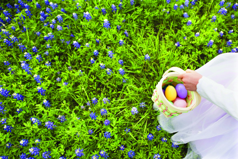 The Edgerton is set to host Easter fun this weekend.