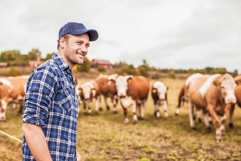 For some producers knowing what to do on their cattle operations can be tough, but the Nebraska Extension took information from the 2019 FINBIN database to find a benchmark for other producers.